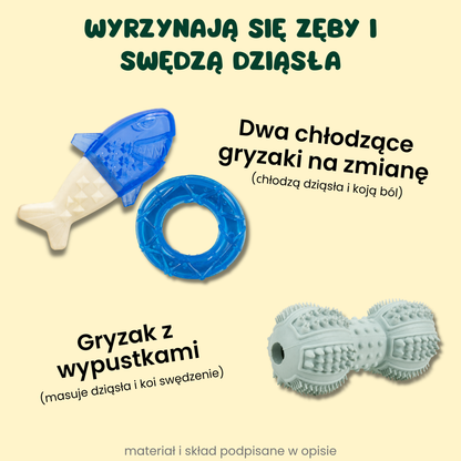 Grzeczne Ząbki w 7 dni!